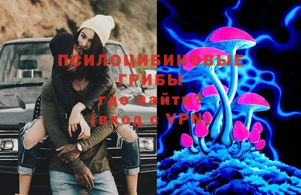 не бодяженный Горно-Алтайск