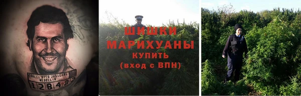 не бодяженный Горно-Алтайск