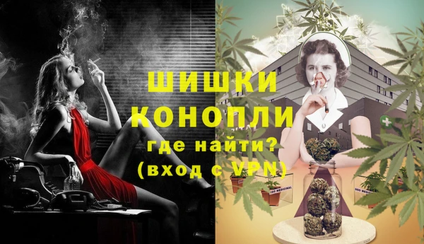сатива Горняк