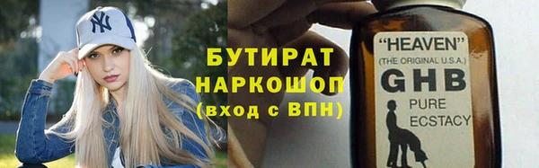 сатива Горняк