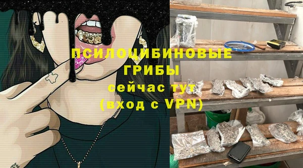 сатива Горняк