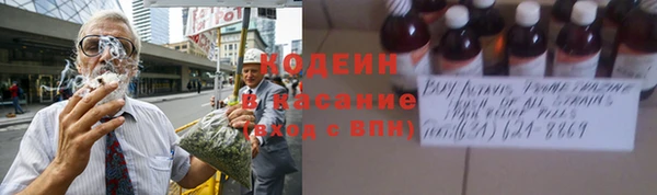 не бодяженный Горно-Алтайск
