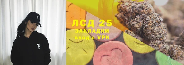 сатива Горняк