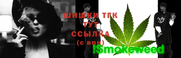 сатива Горняк