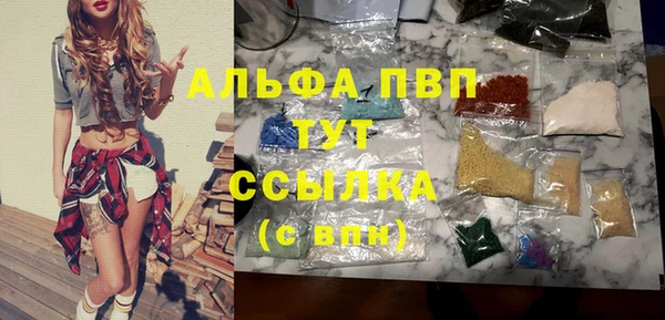 сатива Горняк