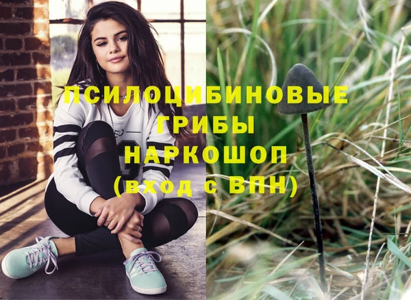 не бодяженный Горно-Алтайск