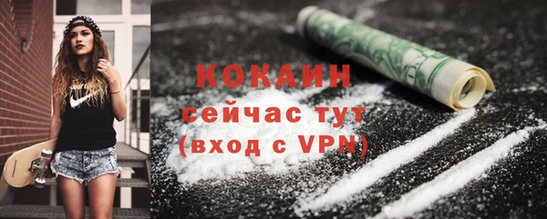 дмт Гусь-Хрустальный