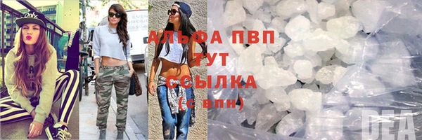 сатива Горняк