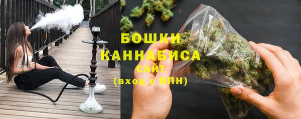 не бодяженный Горно-Алтайск