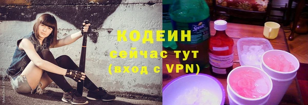 амф Вяземский