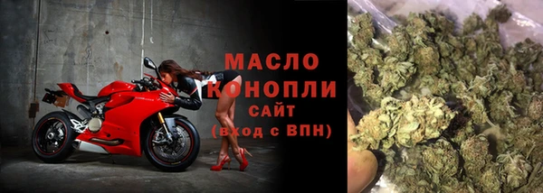 сатива Горняк