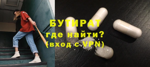 сатива Горняк