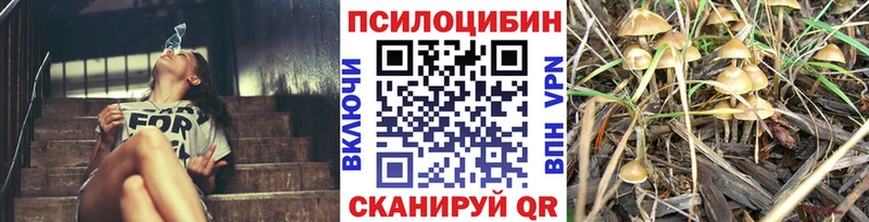 Купить закладки  Красный Кут  Галлюциногенные грибы Magic Shrooms 